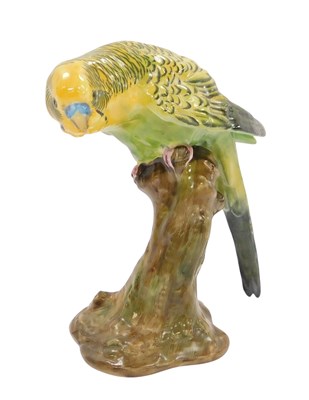 Lot 373 - A Royal Worcester porcelain Budgerigar, model...