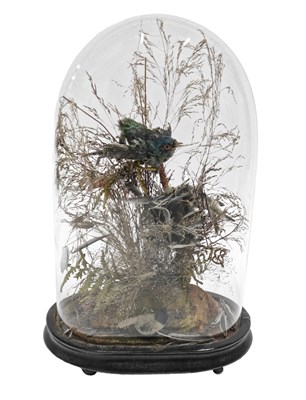 Lot 15 - A Victorian domed top taxidermied bird display,...