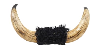 Lot 502 - A pair of buffalo horns, with fur to centre,...