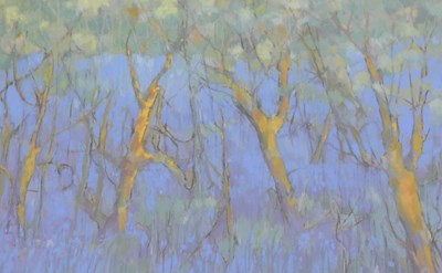 Lot 353 - Anne Goold (British late 20thC). A bluebell...