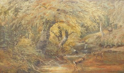 Lot 44 - Clarence Henry Roe (1840-1909). Deer in...