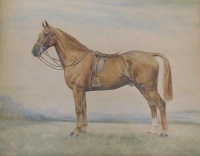 Lot 128 - Dora Webb (1888-?). Study of a horse,...