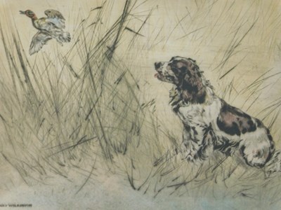 Lot 141 - Henry Wilkinson (1921-2011). Spaniel flushing...
