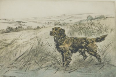 Lot 142 - Henry Wilkinson (1921-2011). Golden Retriever,...