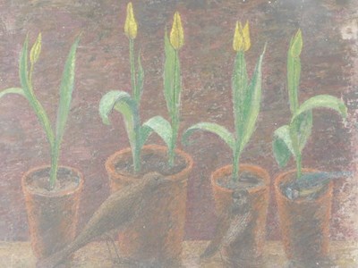 Lot 734 - Ursula Edgcumbe (1900-1985). Plants and birds,...