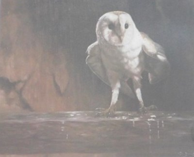Lot 254 - John Trickett (b.1952). Owl, artist signed...