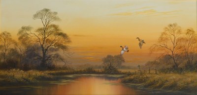 Lot 237 - David Waller (b.1945). Duck over Water, oil on...