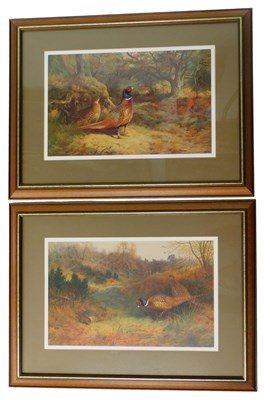 Lot 262 - After Archibald Thorburn. Two limited edition...