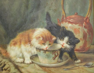Lot 714 - 20thC School. Cats drinking from teacup, oil...