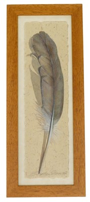 Lot 730 - 20thC School. Watercolour of a feather, on...