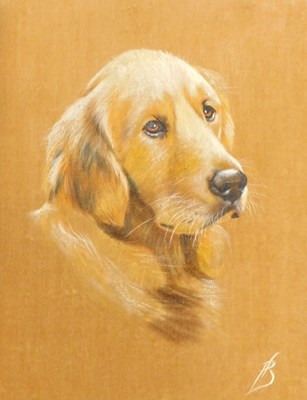 Lot 764 - FB. Golden Retriever, oil onto velvet, with...
