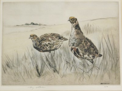 Lot 141 - Henry Wilkinson (1921-2011). A pair of grouse...