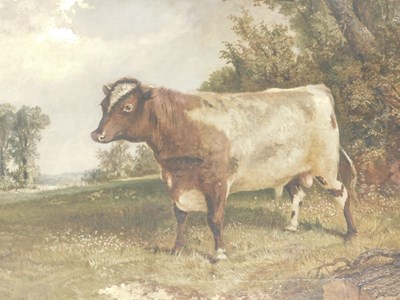 Lot 26 - 19thC English School. Bull in a landscape, oil...