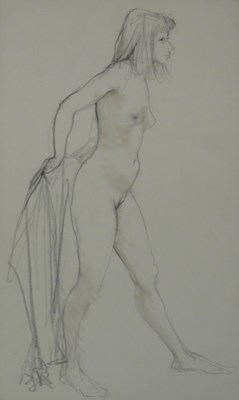 Lot 239 - Timothy Richards (20thC). Standing nude female,...