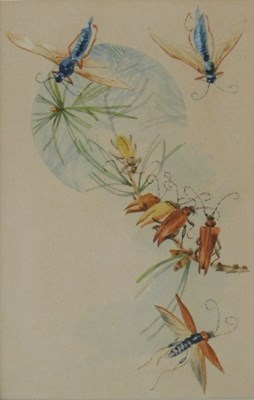 Lot 246 - 20thC School. Insects, Shaw style, dragonflies,...