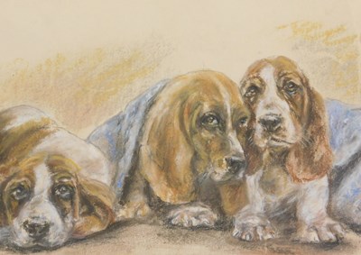 Lot 302 - After K Barker. Not Guilty M' Lud!, bassett...