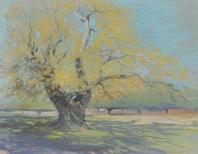 Lot 323 - M Broughton (20thC). Tree in parkland, pastel,...